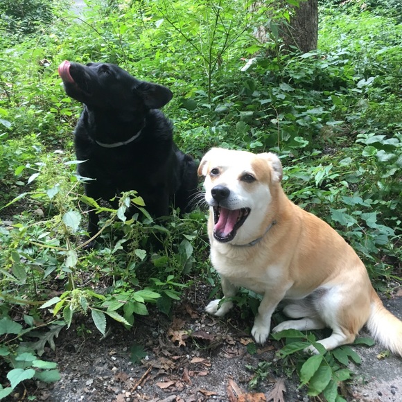 🇺🇸 Meet Your Posher! 🇺🇸 - Picture 5 of 9